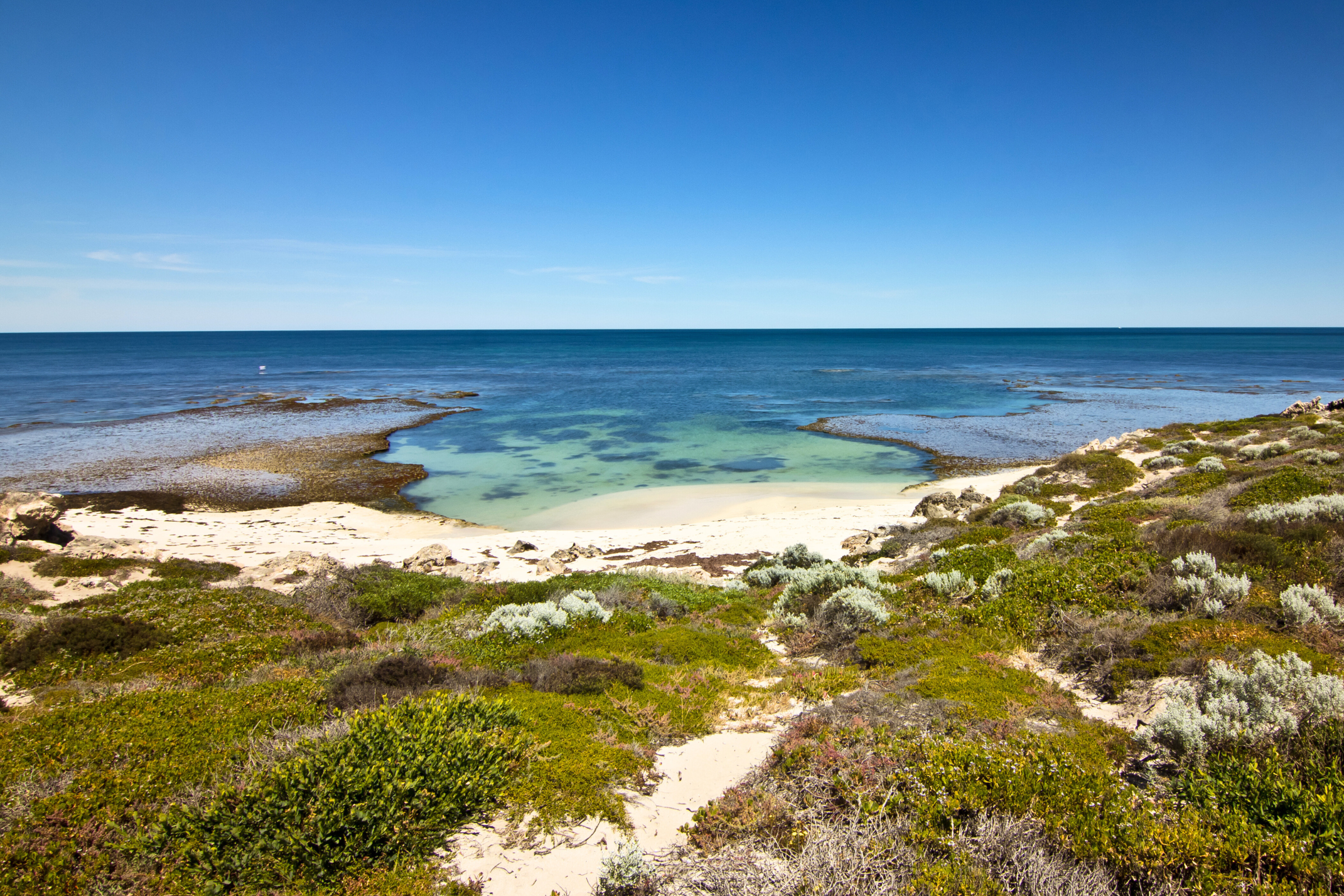 05_Greenhead[1].webp